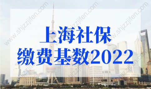 上海社保基数调整操作流程，上海社保缴费基数2022最新规定