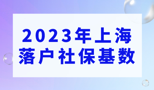 上海落户在线咨询：2023年上海落户社保基数缴纳费用预测来啦！