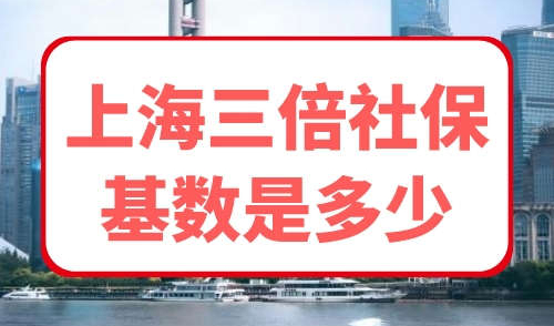 上海三倍社保基数是多少