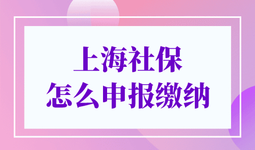 上海社保怎么申报缴纳？2024年最新申报缴费流程来了！