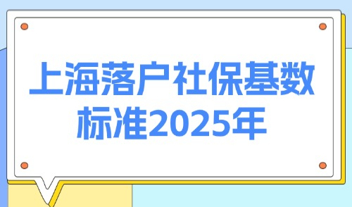 上海落户社保基数标准2025年：落户条件大汇总！附历年数据一览！